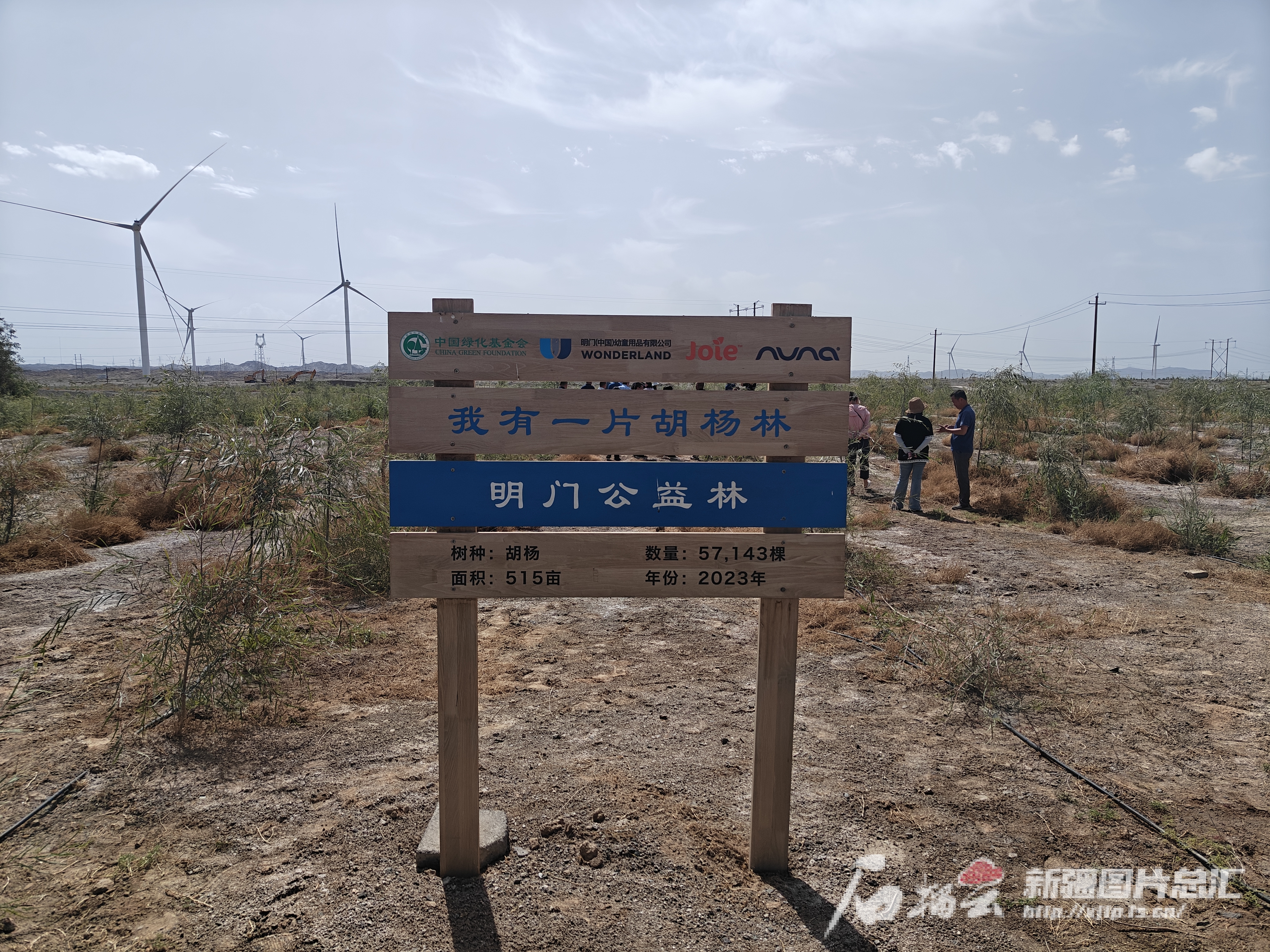 米乐M6：天山环保行丨库尔勒：荒山变绿洲筑牢梨城绿色屏障(图3)