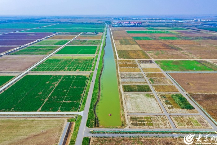 米乐M6：沿着黄河遇见海中华环保世纪行2024年宣传活动走进东营(图11)