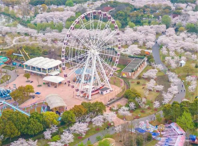 米乐M6：中建山水雅境(2024)网站-宝山中建山水雅境楼盘详情-户型配套(图23)