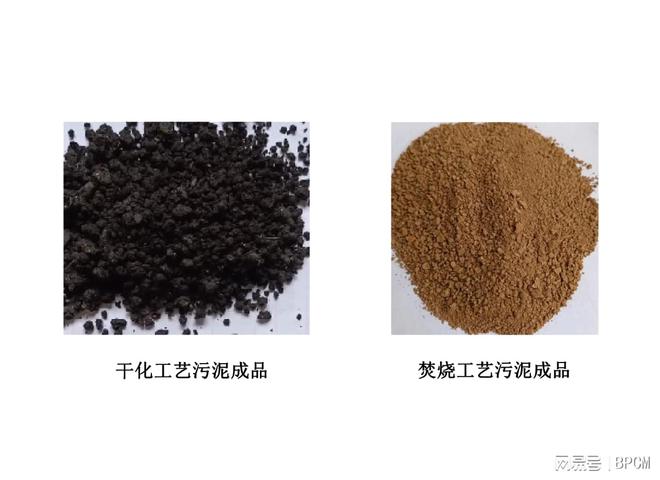 米乐M6平台：湖南奔骥环境处置设备制造商污泥处理污泥干化焚烧设备(图1)
