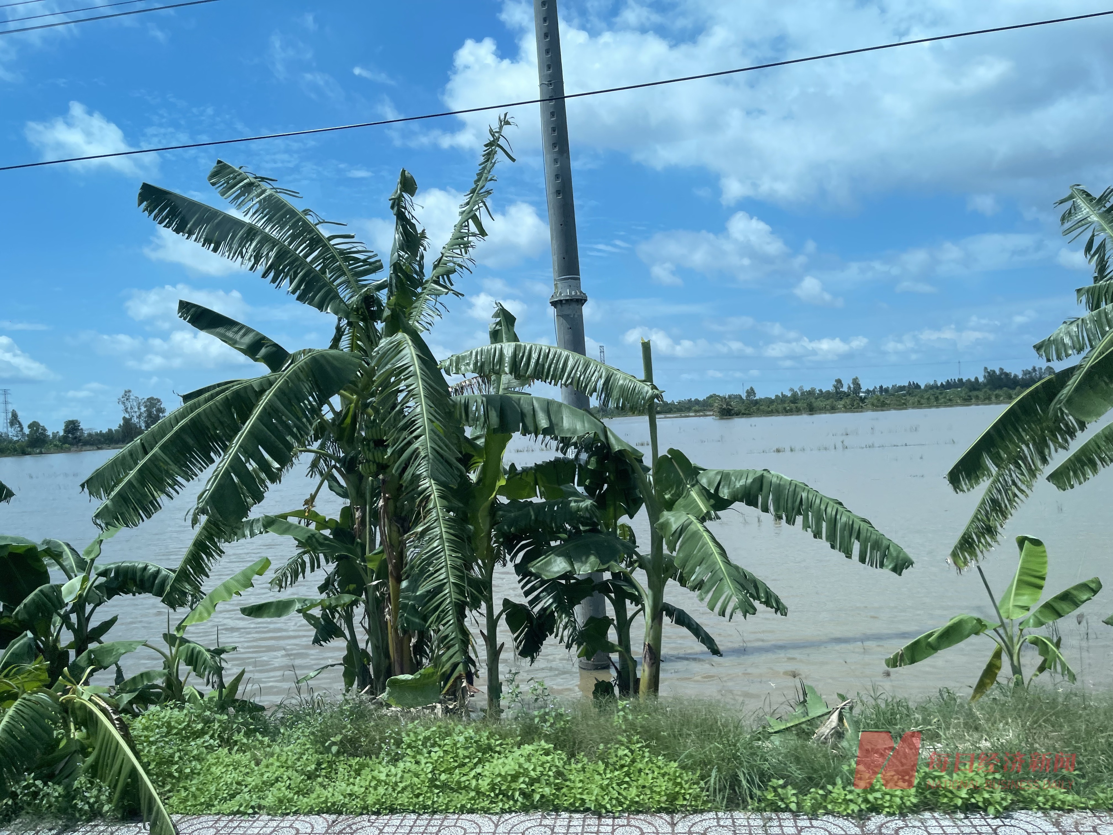 中国垃圾焚烧发电产业“出海”越南：本地化趋势明显当地员工超九成(图2)