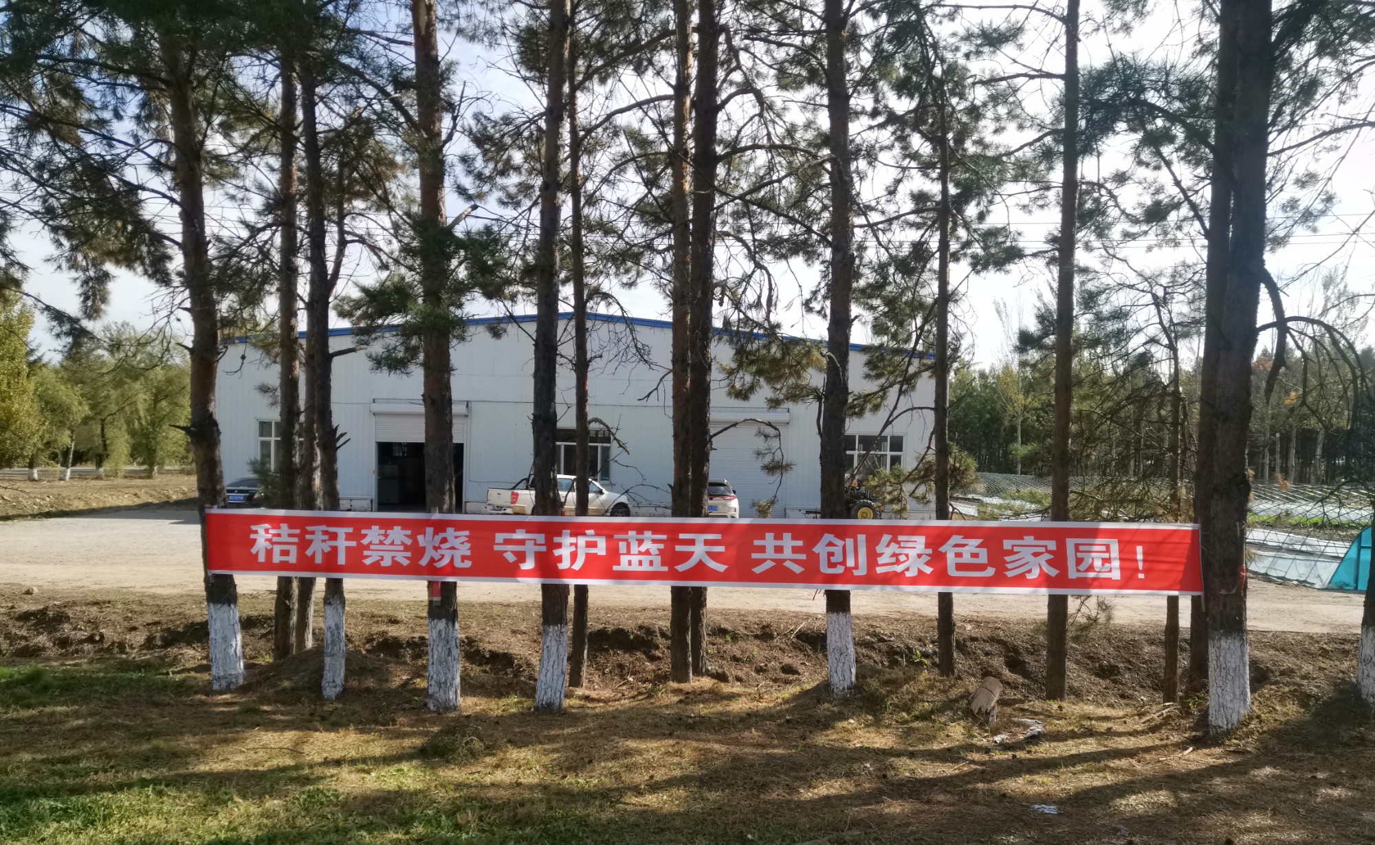 八五九分公司：“三步走”解决秸秆焚烧问题(图1)