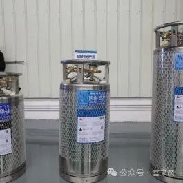 全市观摩！莒南、临港看了这6个项目→(图3)