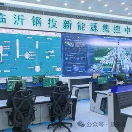 全市观摩！莒南、临港看了这6个项目→(图12)