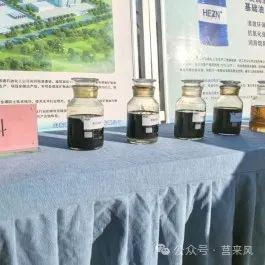 全市观摩！莒南、临港看了这6个项目→(图10)