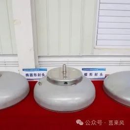 全市观摩！莒南、临港看了这6个项目→(图4)