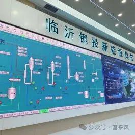 全市观摩！莒南、临港看了这6个项目→(图14)