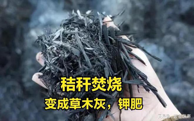 多地明确春节可燃放烟花爆竹是个明显的积极信号(图3)