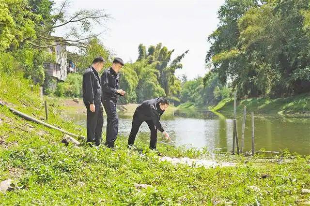 米乐M6：2024年度美丽重庆全媒体优秀传播案例｜向绿而行两代人的环保“接力跑”(图3)