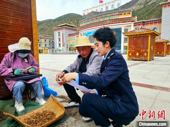 米乐M6：青海省玉树州：绿色税制助推江源发展(图2)