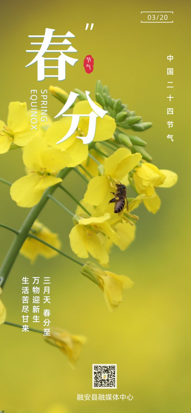 日处理500吨每小时发电12MW(图6)
