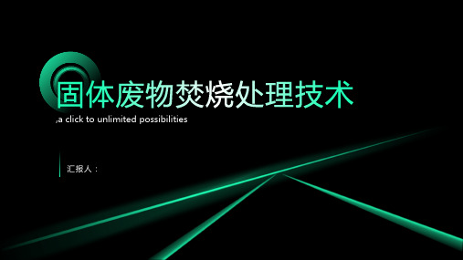 项目三固体废物焚烧工艺
