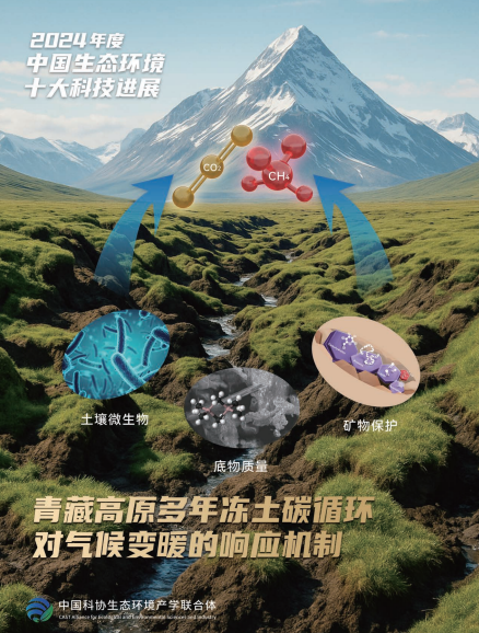 2024年度中国生态环境十大科技进展发布(图2)