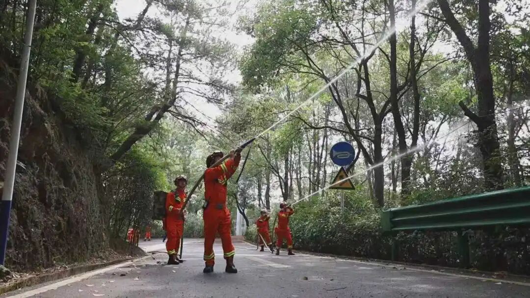 四化协同强根基全域联防护青山茶陵县多维提升森林防灭火能力