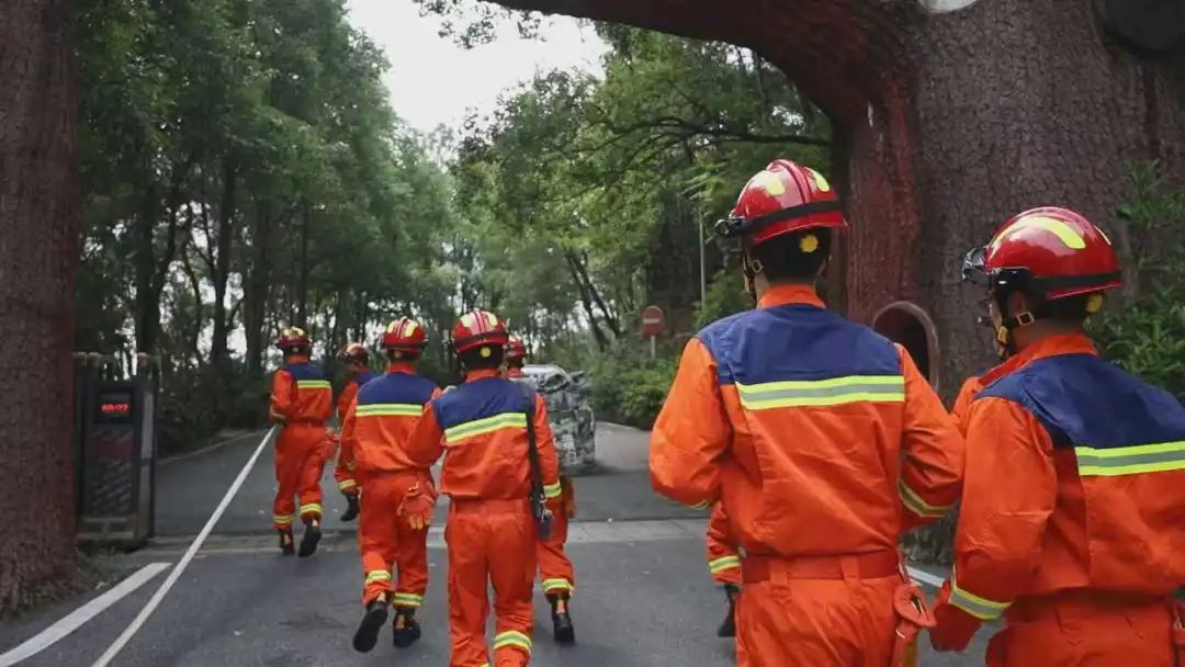 四化协同强根基全域联防护青山茶陵县多维提升森林防灭火能力(图2)