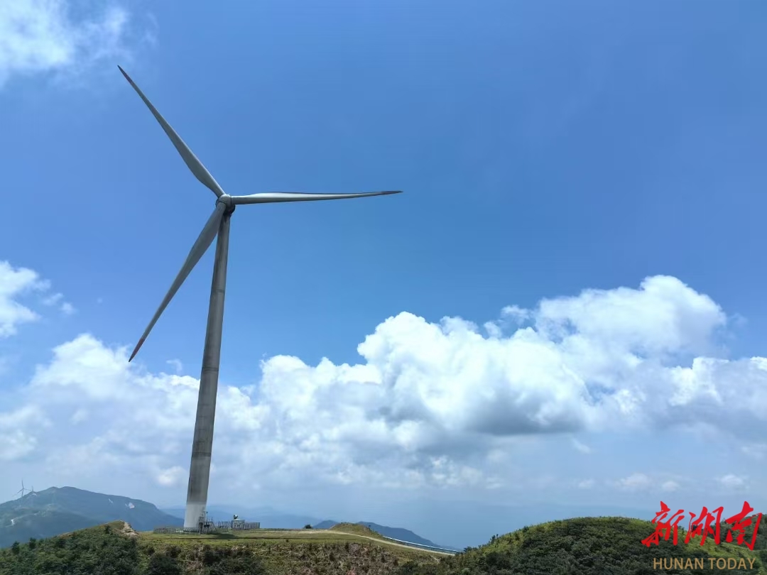 米乐M6平台：洞口“氧”人空气质量全市第一全省第五