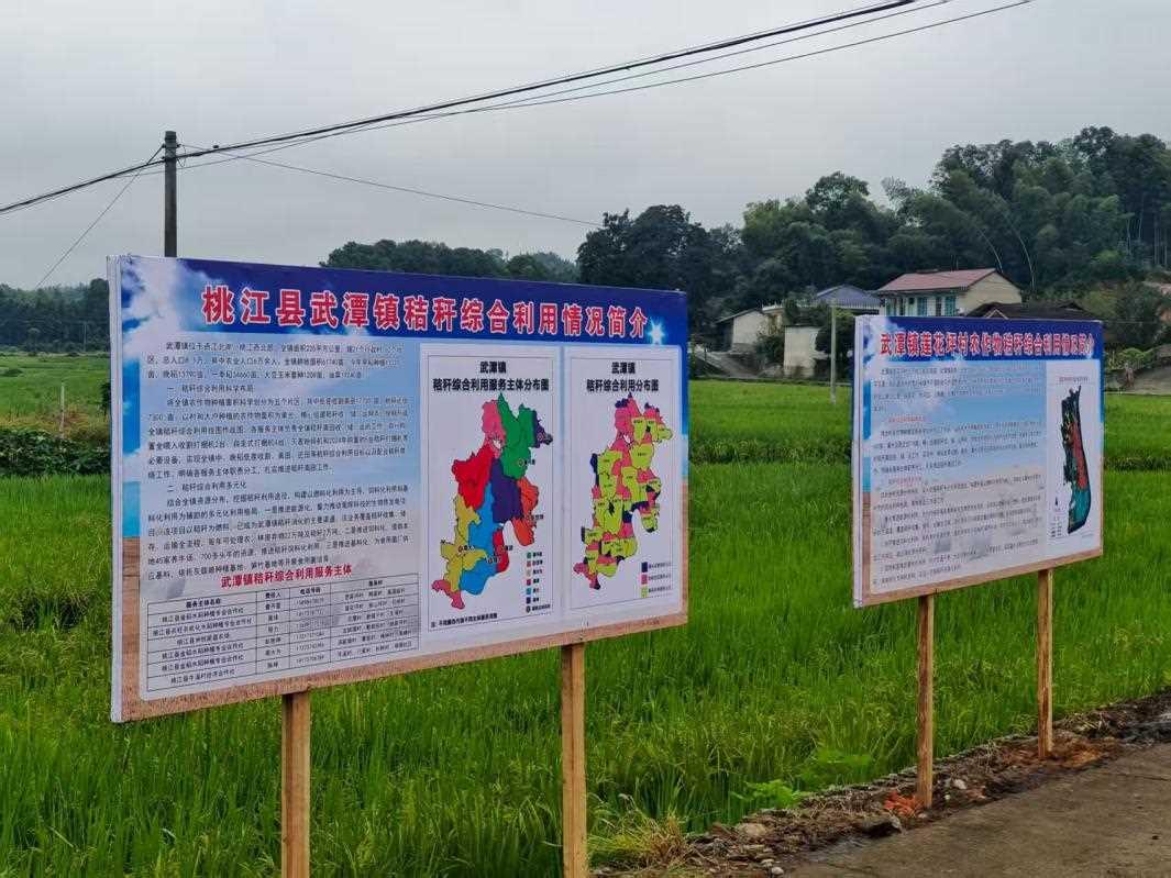 【秸秆禁限烧和综合利用】桃江县武潭镇：创新秸秆综合利用做好乡村绿色增收文章