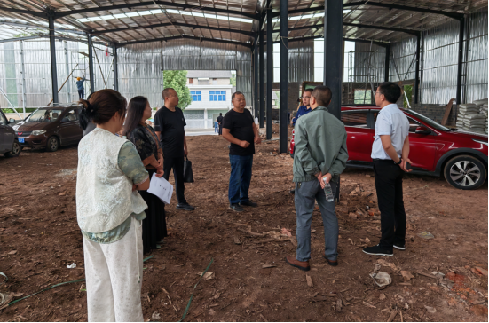 米乐M6：全线出击助推秸秆变废为宝探索综合利用与精准焚烧管控新路径(图2)