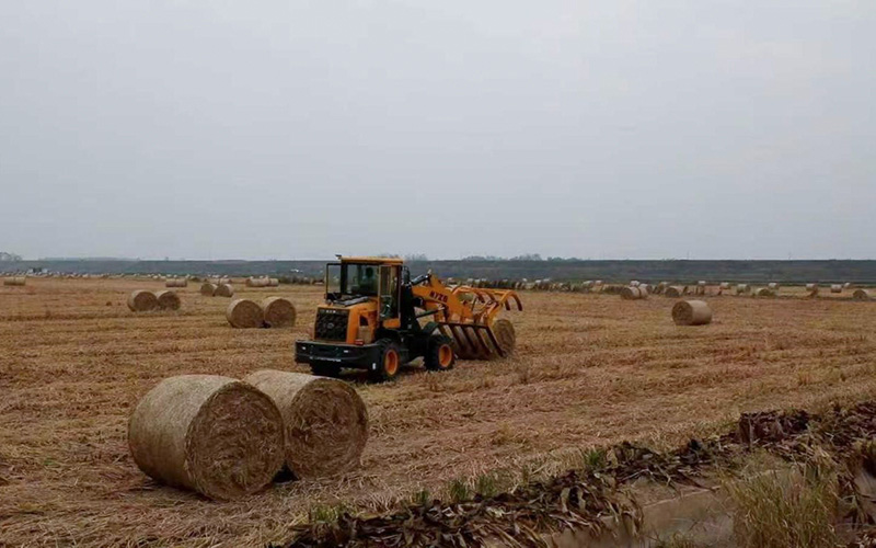 津市“田间废弃物”变成“香饽饽”
