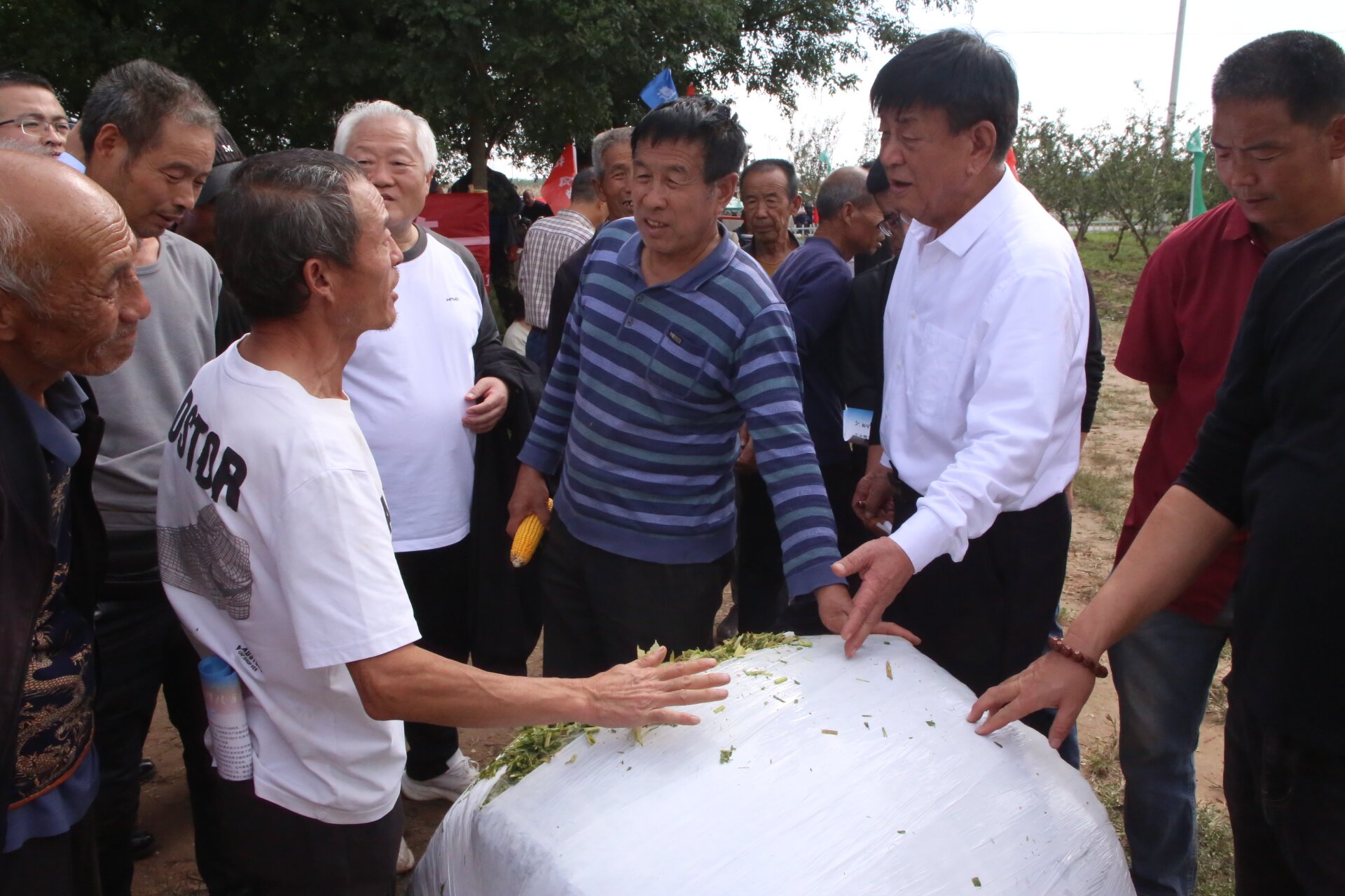 玉米收获迎来技术革新！新型一体机实现穗茎兼收与打捆包膜同步完成(图3)