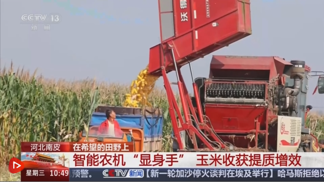 稻菽飘香、果实累累希望的田野上唱响金秋丰收“欢歌”(图3)