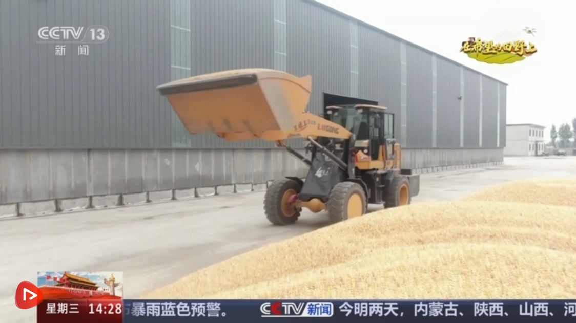 稻菽飘香、果实累累希望的田野上唱响金秋丰收“欢歌”(图7)