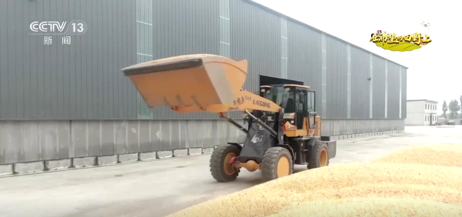 稻菽飘香、果实累累希望的田野上唱响金秋丰收“欢歌”(图8)