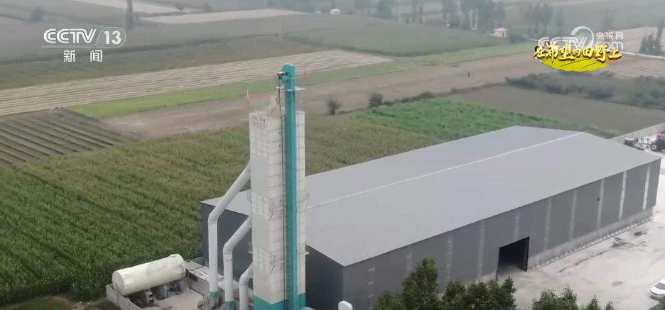 稻菽飘香、果实累累希望的田野上唱响金秋丰收“欢歌”(图9)