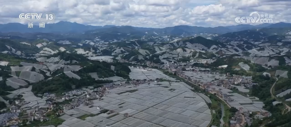 稻菽飘香、果实累累希望的田野上唱响金秋丰收“欢歌”(图12)