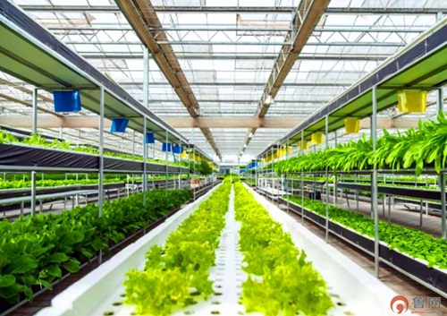 滕州市西岗镇“五智融合”赋能乡村治理(图8)