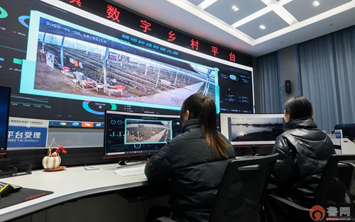 滕州市西岗镇“五智融合”赋能乡村治理(图2)