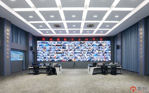 滕州市西岗镇“五智融合”赋能乡村治理(图4)