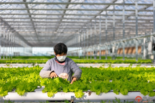 滕州市西岗镇“五智融合”赋能乡村治理(图7)