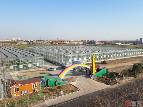 滕州市西岗镇“五智融合”赋能乡村治理(图9)