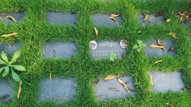 辛集市的宠物殡葬机构202510(图8)