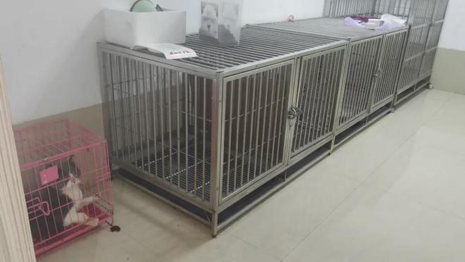 辛集市的宠物殡葬机构202510(图6)