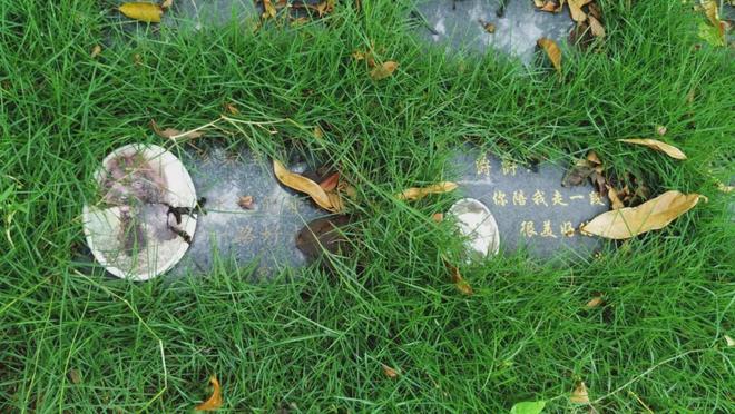 辛集市的宠物殡葬机构202510(图10)