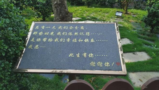 辛集市的宠物殡葬机构202510(图2)