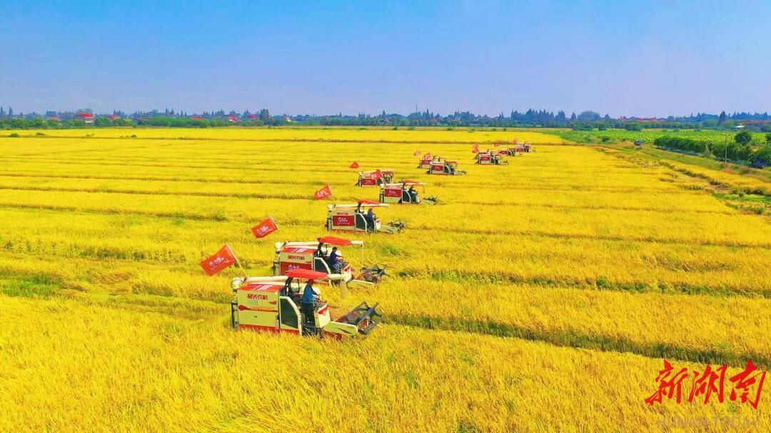 望城区：智慧破局秸秆治理绿色转型惠泽民生