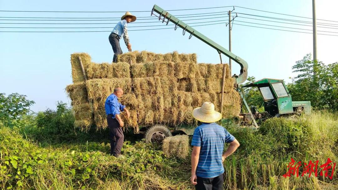 望城区：智慧破局秸秆治理绿色转型惠泽民生(图2)