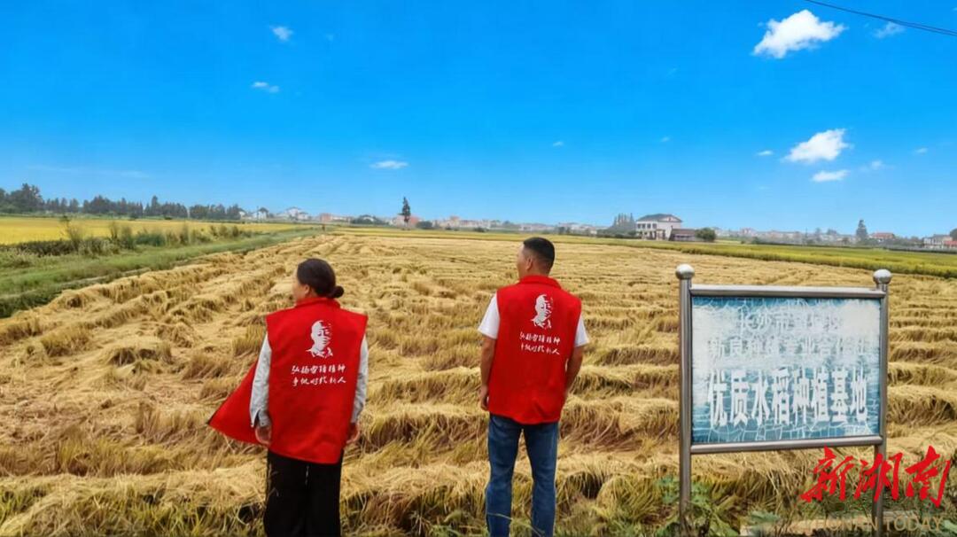 望城区：智慧破局秸秆治理绿色转型惠泽民生(图3)