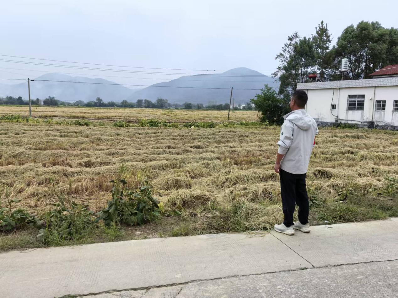 东至县洋湖镇：金秋织密“禁烧网”守护蓝天保丰收(图3)