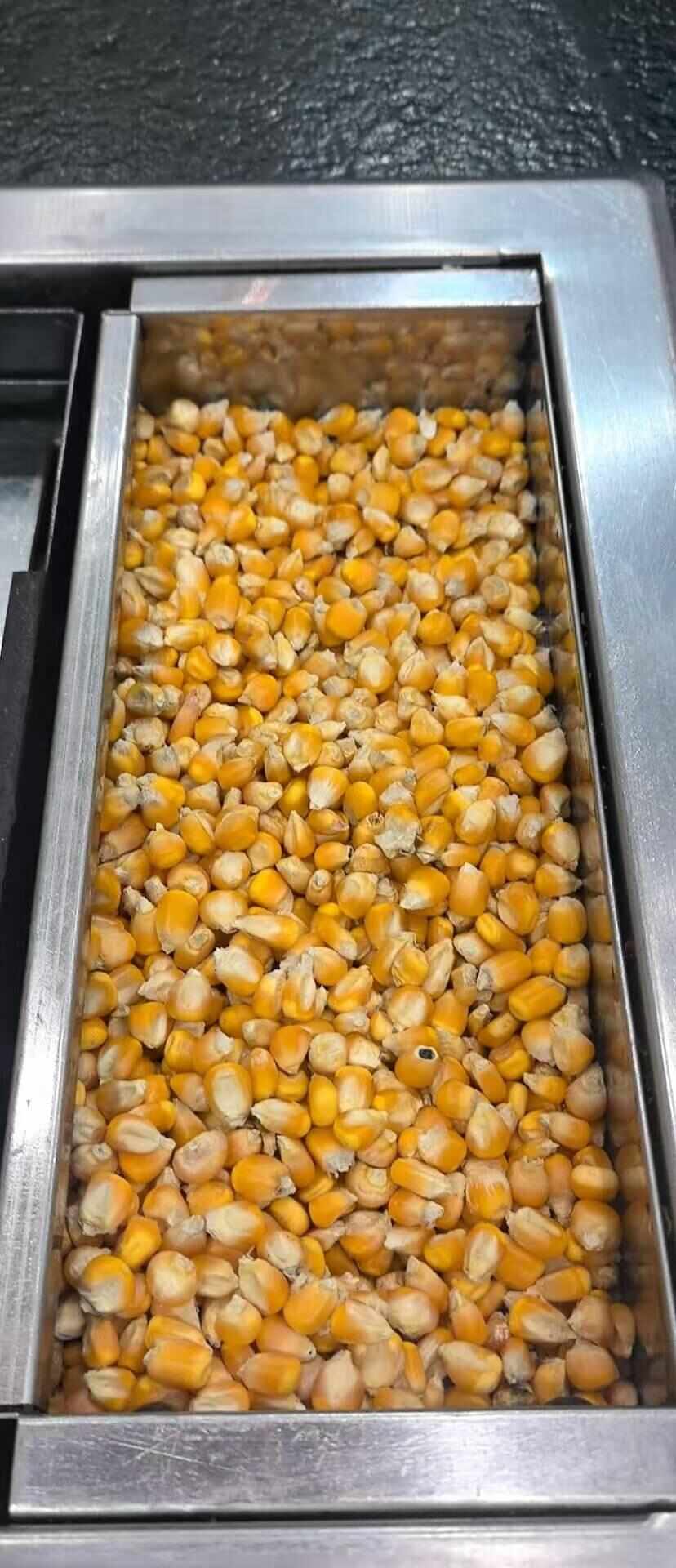 烤肉店用玉米粒当燃料是创新还是浪费？专家发声