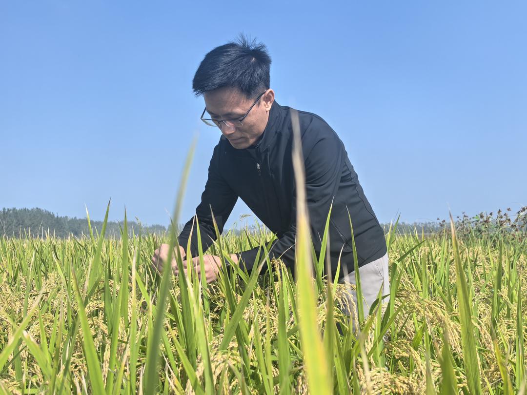 米乐M6：大河安澜处齐鲁绘新卷！(图9)