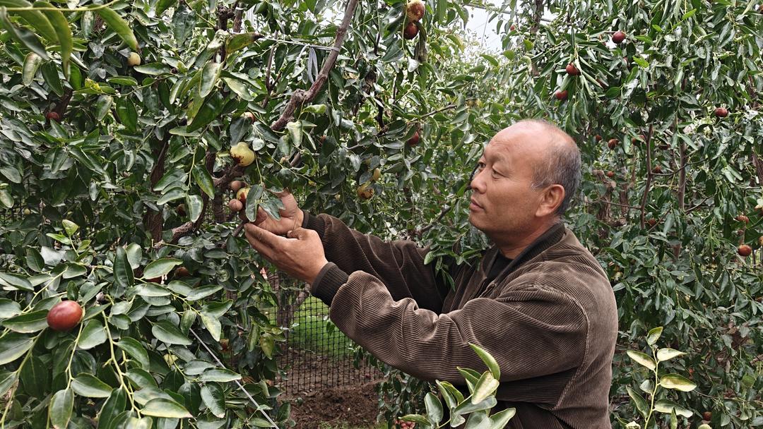 米乐M6：大河安澜处齐鲁绘新卷！(图17)