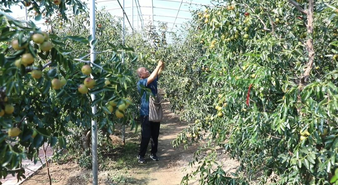 米乐M6：大河安澜处齐鲁绘新卷！(图18)