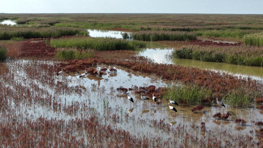 米乐M6：大河安澜处齐鲁绘新卷！(图24)