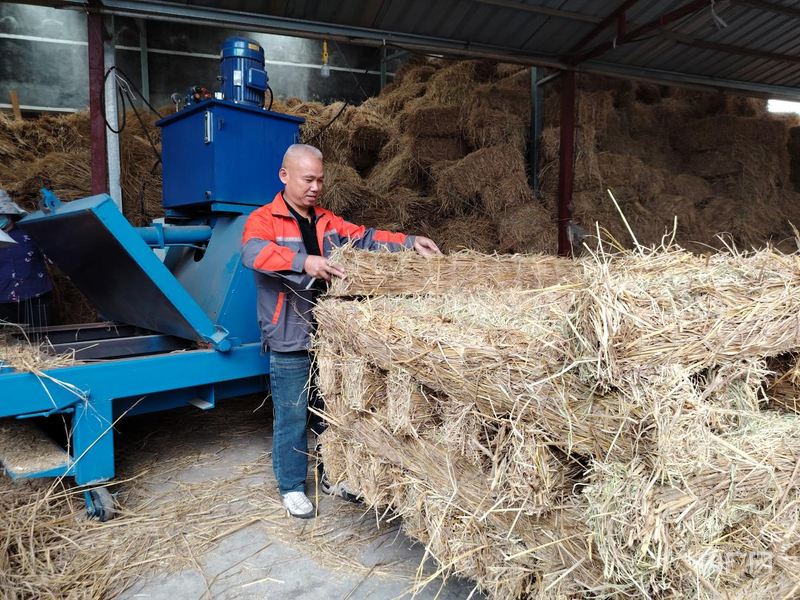 湖南双峰“点草成金”：一根稻草的绿色逆袭