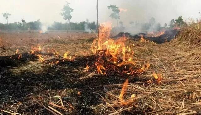 预警：污染传输来袭！今日起未来三天可能轻度污染请注意防范