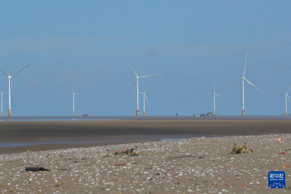 米乐M6：通讯丨中国清洁能源助力亚太绿色发展(图2)